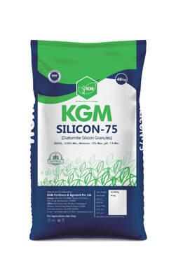 KGM Silicon