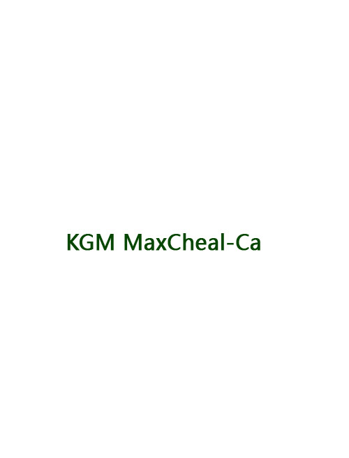 KGM MaxCheal-Combi