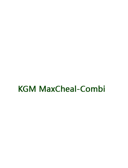 KGM MaxCheal-Combi