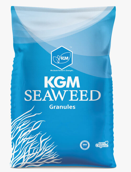 KGM SEAWEED