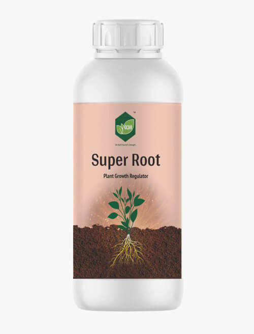 KGM SUPER ROOT